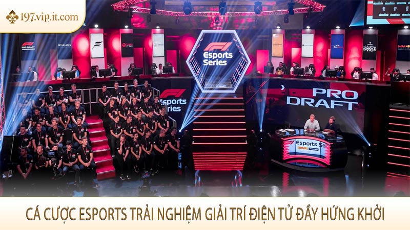 Cá cược Esports trải nghiệm giải trí điện tử đầy hứng khởi