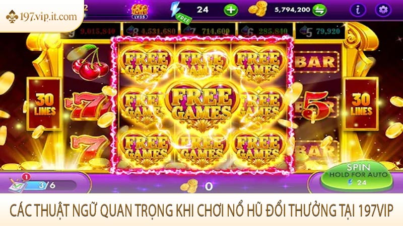 Các thuật ngữ quan trọng khi chơi nổ hũ đổi thưởng tại 197VIP