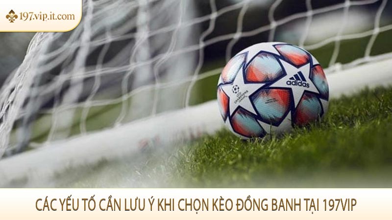 Các yếu tố cần lưu ý khi chọn kèo đồng banh tại 197VIP