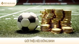 Giới thiệu kèo đồng banh