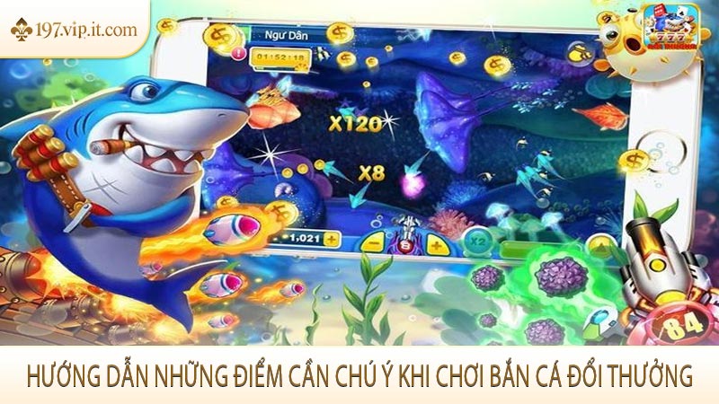 Hướng dẫn những điểm cần chú ý khi chơi bắn cá đổi thưởng