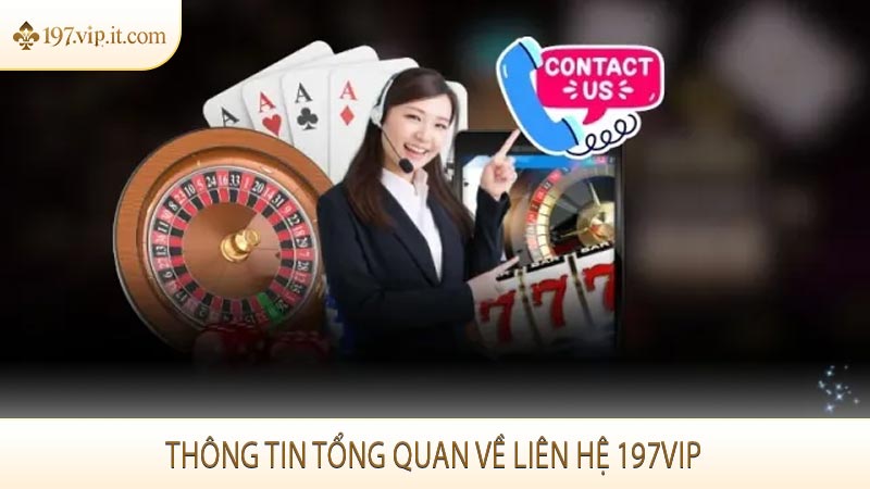 Thông tin tổng quan về liên hệ 197VIP